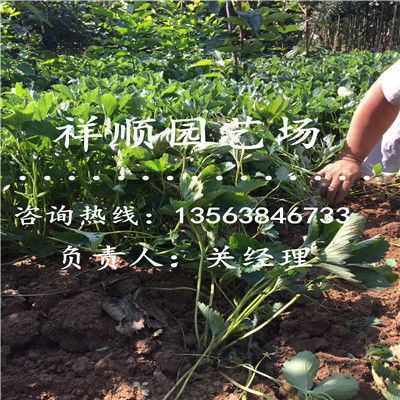 淮南